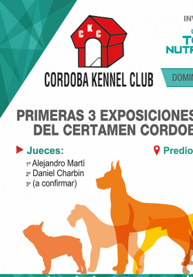 PRIMERAS 3 EXPOSICIONES ABIERTAS DEL CERTAMEN CORD...